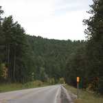 Drive Through Black Hills National Forest